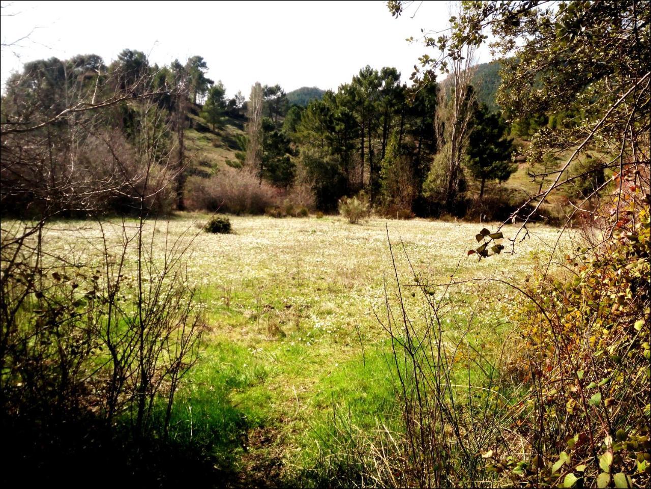 Casas Rurales Picos Del Oso Riopar Luaran gambar