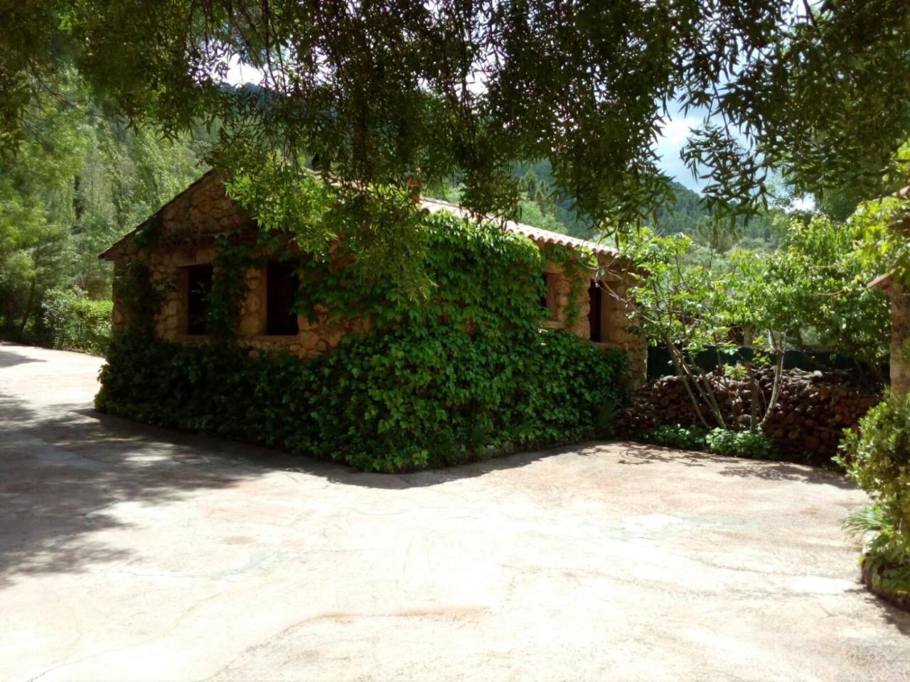 Casas Rurales Picos Del Oso Guest House Riopar Luaran gambar